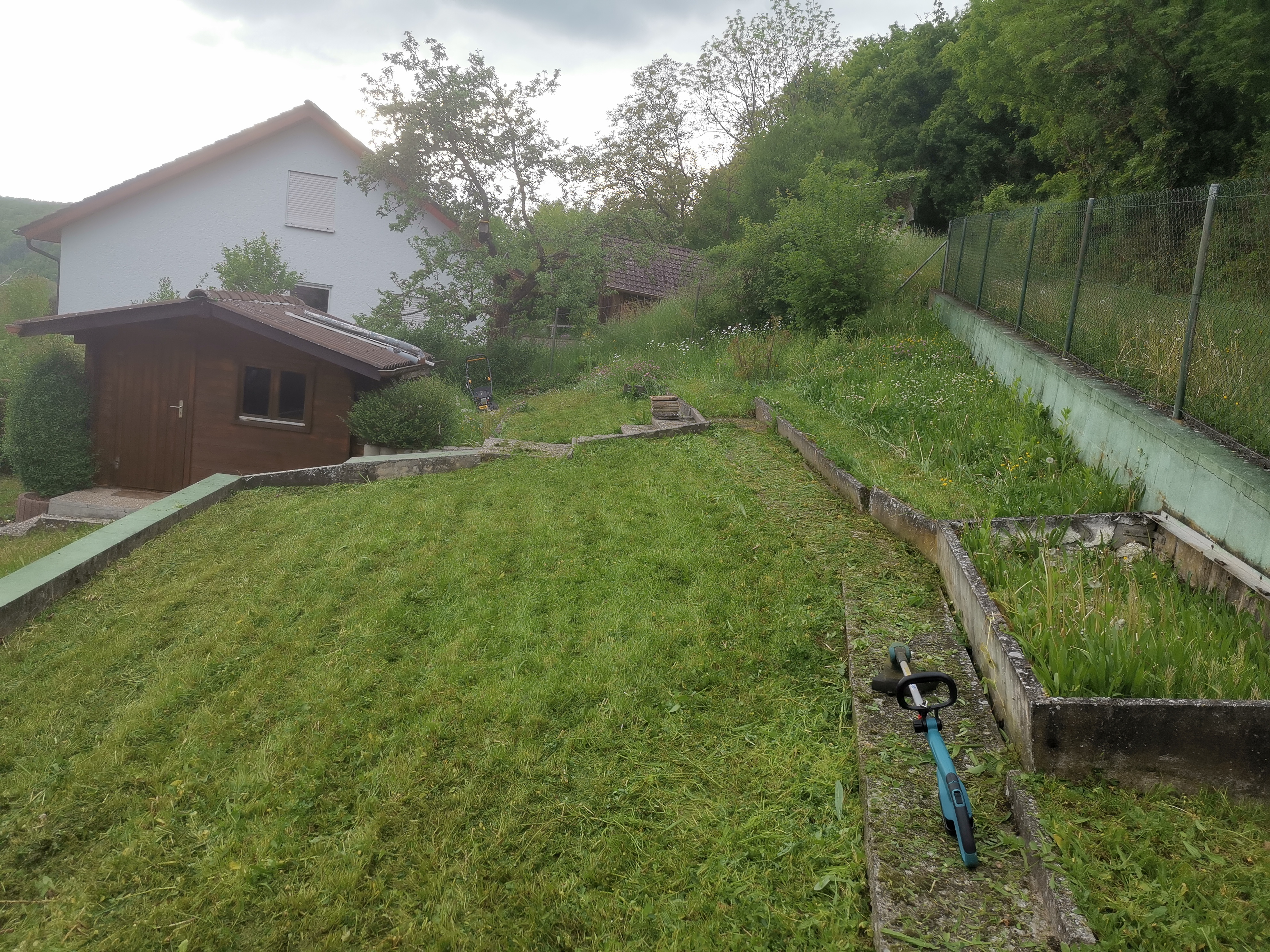 Rasen hoch vorher